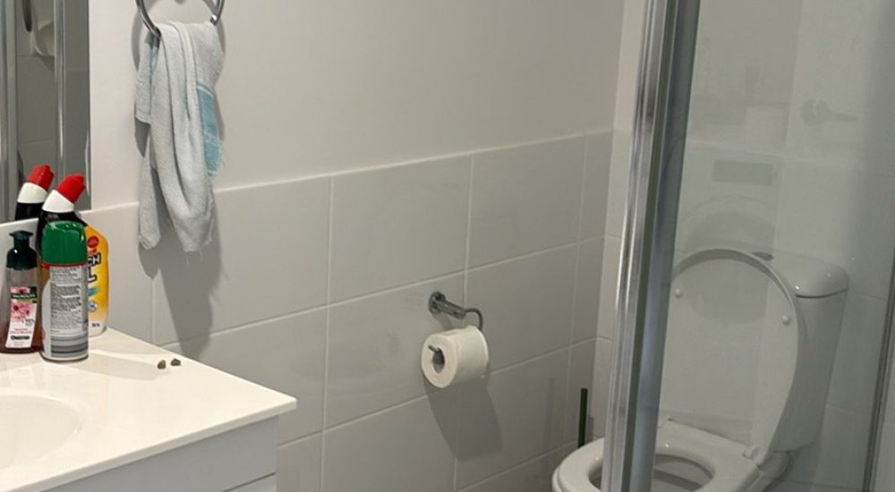 Single Room in Rutherford, $250/week (photo 2)